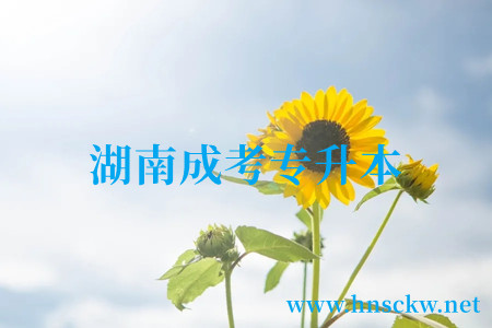 湖南成考专升本