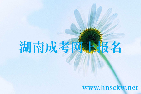 湖南成考网上报名