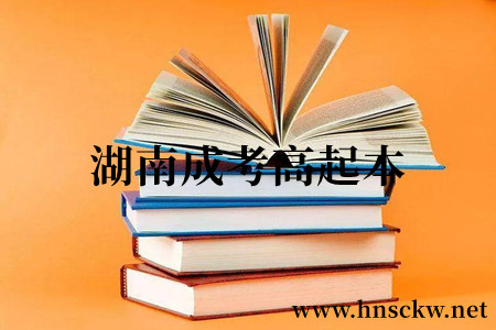 湖南成考高起本