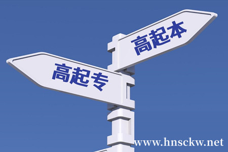 湖南成考高起专
