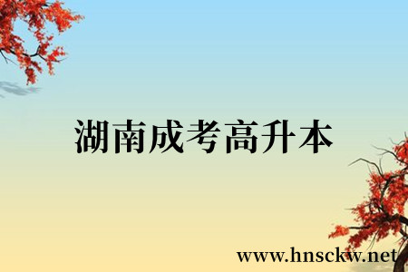 湖南成考高升本