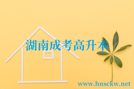 湖南成考高升本