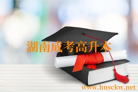 湖南成考高升本