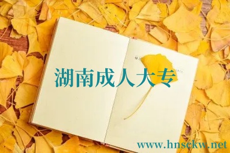 湖南成人大专