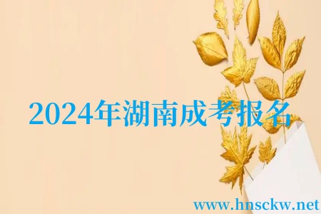 2024年湖南成考报名