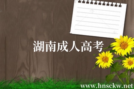 湖南成人高考