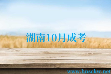 湖南10月成考