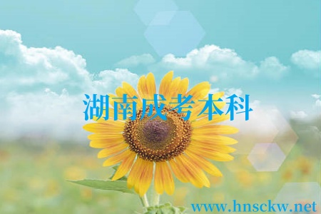 湖南成考本科
