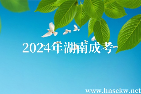 2024年湖南成考