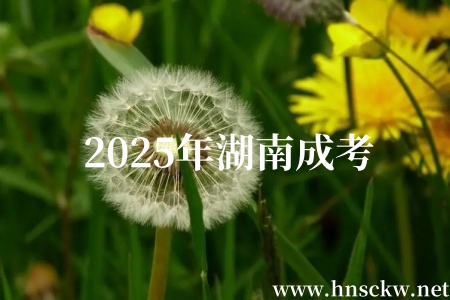 2025年湖南成考