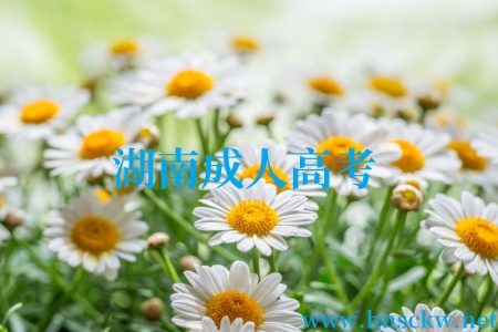 湖南成人高考