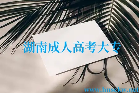湖南成人高考大专