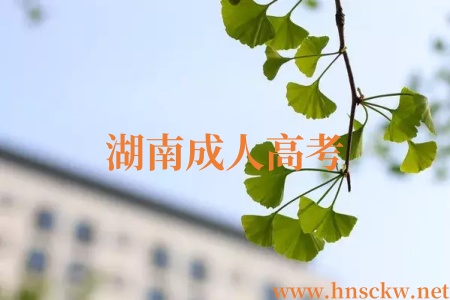 湖南成人高考