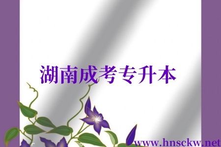 湖南成考专升本