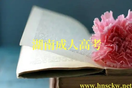 湖南成人高考