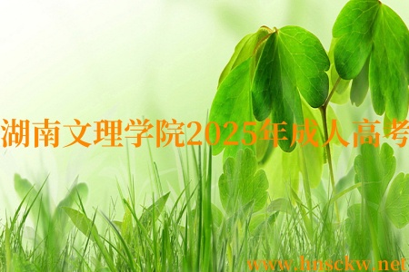 湖南文理学院2025年成人高考