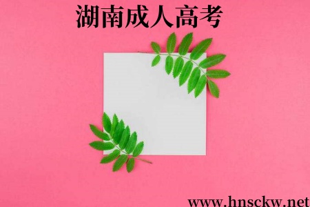 湖南工学院2025年学历继续教育专/本科