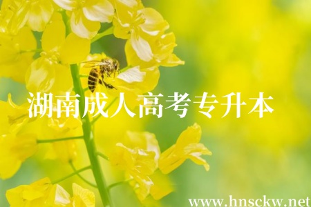 湖南成人高考专升本