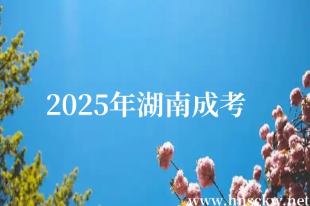 2025年湖南成考