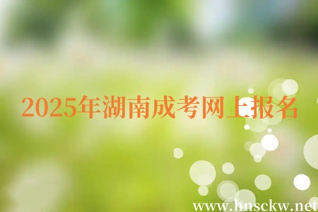 2025年湖南成考网上报名