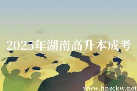 2025年湖南高升本成考