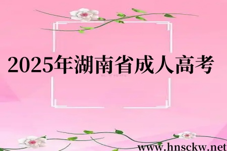 2025年湖南省成人高考