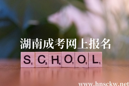 湖南成考网上报名