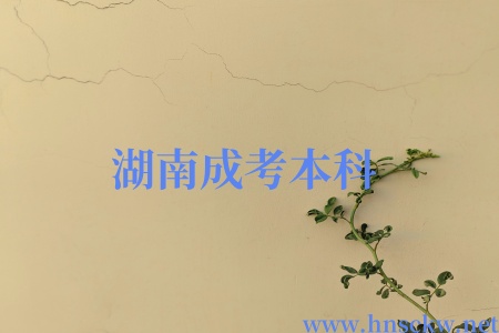 湖南成考本科