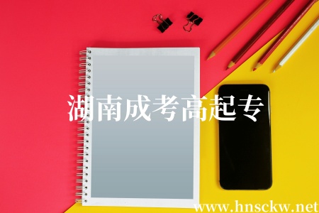 湖南成考高起专