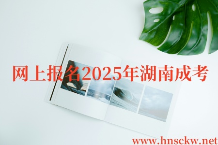 2025年湖南成考