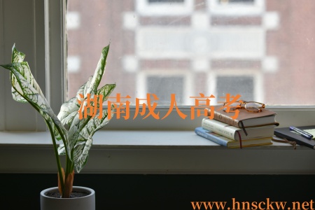 湖南成人高考