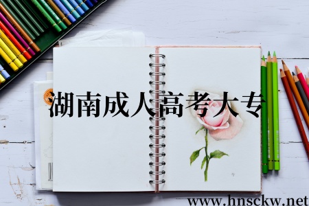 湖南成人高考大专