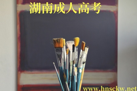 湖南成人高考