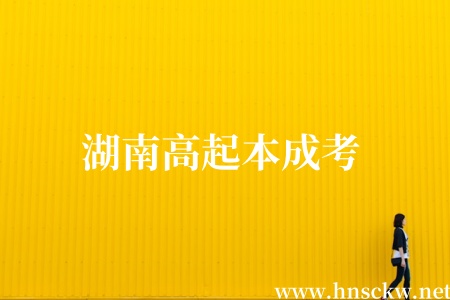 湖南高起本成考