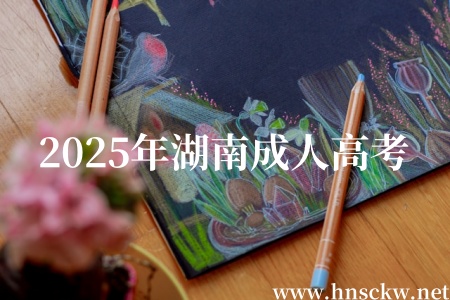 2025年湖南成人高考