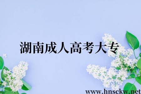 湖南成人高考大专