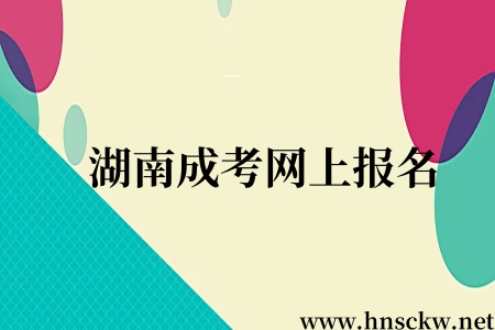 湖南成考网上报名