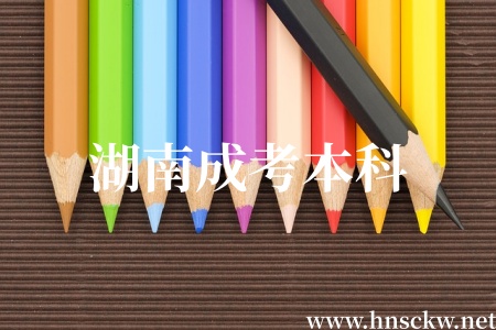 湖南成考本科