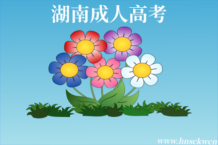 湖南成人高考