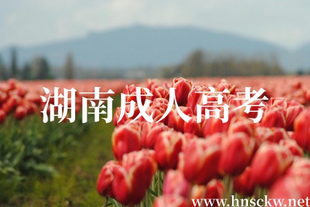 湖南成人高考
