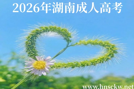 2026年湖南成人高考和电大哪个含金量更高点? 2026年湖南成人高考