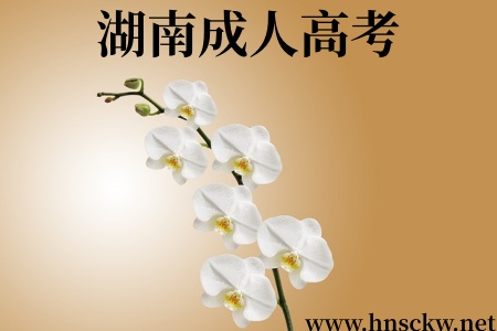湖南成人高考
