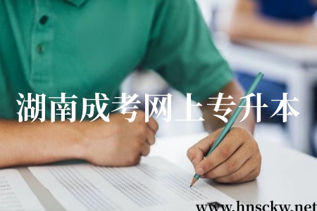 湖南成考网上专升本
