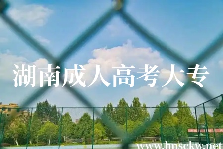 湖南成人高考大专