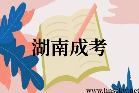 湖南成考