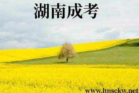 湖南成考