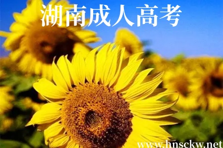 在湖南成人高考校外教学点提前预报名,真的有必要吗? 湖南成人高考