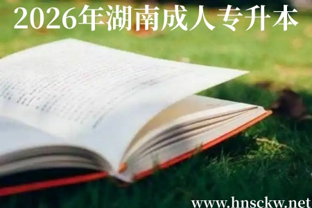 2026年湖南成人专升本