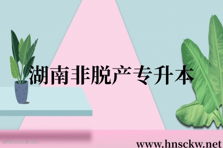 湖南非脱产专升本